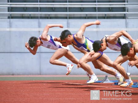Спортивный фестиваль Спортивный фестиваль
