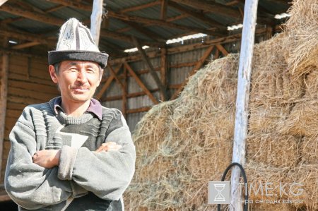 Предприятия по переработке молочной продукции Кыргызстана терпят убытки Предприятия по переработке молочной продукции Кыргызстана терпят убытки