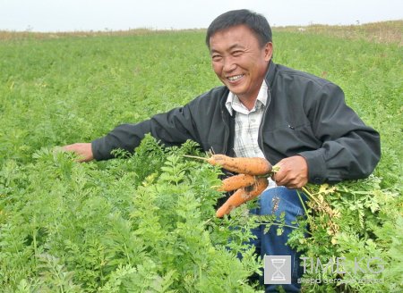 Сельскохозяйственные кооперативы кормят мир Сельскохозяйственные кооперативы кормят мир