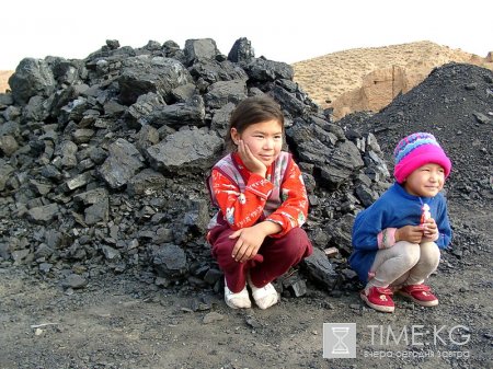 Самые высокие цены на твердое топливо сейчас отмечаются в Ошской области Самые высокие цены на твердое топливо сейчас отмечаются в Ошской области