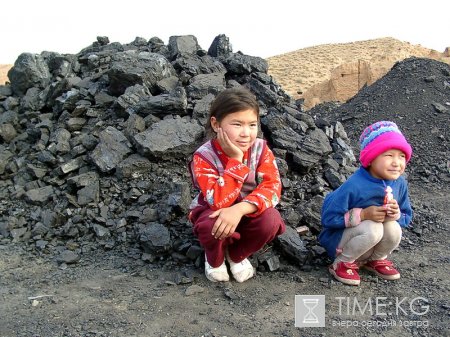 Самые высокие цены на твердое топливо сейчас отмечаются в Ошской области