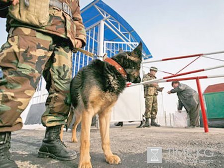 Незаконный оборот наркотиков принимает астрономические масштабы