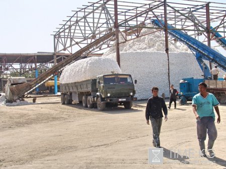 Хлопкоробы Кыргызстана несут убытки