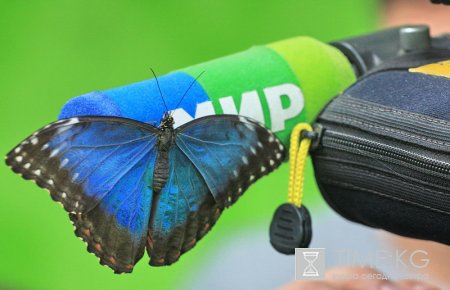 Телерадиокомпания "Мир" отмечает 20-летний юбилей