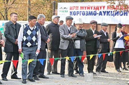 Выставка - аукцион КРС Выставка - аукцион КРС