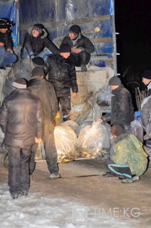 Ассоциация рыборазводных хозяйств получила почти четыре тонны мальков промысловых видов рыб Ассоциация рыборазводных хозяйств получила почти четыре тонны мальков промысловых видов рыб