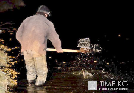 Ассоциация рыборазводных хозяйств получила почти четыре тонны мальков промысловых видов рыб